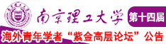 免费看叉B南京理工大学第十四届海外青年学者紫金论坛诚邀海内外英才！